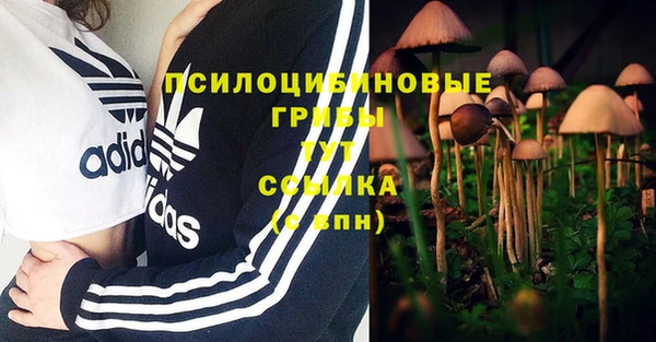 ECSTASY Пересвет