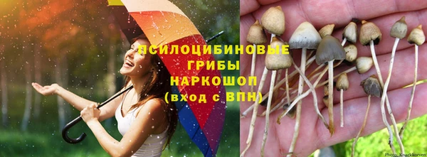 бутират Пестово