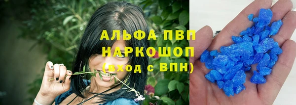 ECSTASY Пересвет