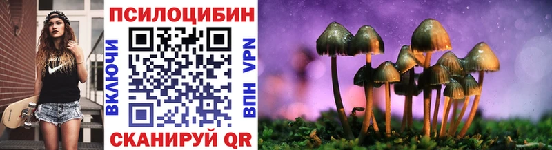 Псилоцибиновые грибы Psilocybe  наркотики  Ильский 